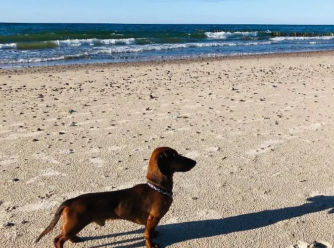 Morski Keja Ii Podczele *